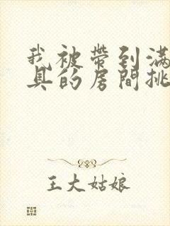 我被带到满是玩具的房间挑调游戏