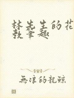 林先生的花式管教笔趣