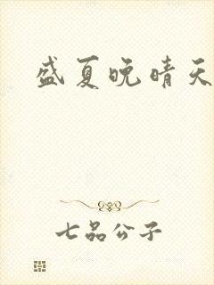 盛夏晚晴天小说