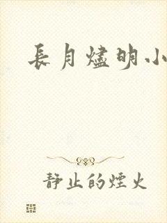 长月烬明小说