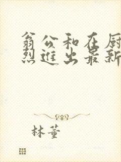 翁公和在厨房猛烈进出最新章节