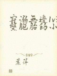 宠溺无边1v3双胞胎的小说