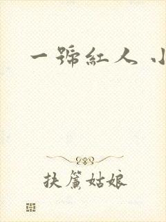 一号红人 小说