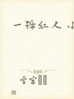 一号红人 小说