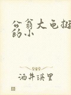 公翁大龟挺进我的小