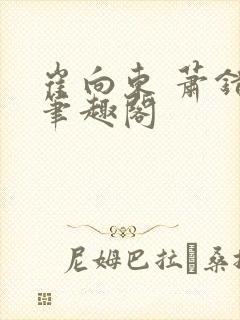 崔向东 萧错 笔趣阁