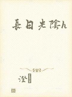 长日光阴h