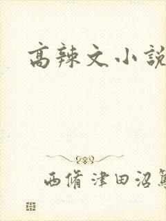 高辣文小说