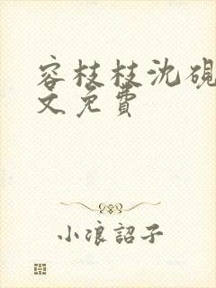 容枝枝沈砚书全文免费