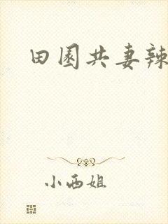 田园共妻辣