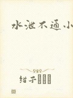 水泄不通小说