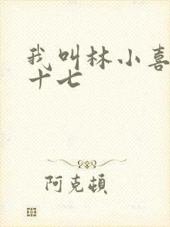 我叫林小喜今年十七