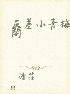 反差小青梅笔趣阁