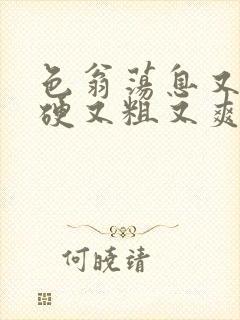 色翁荡息又大又硬又粗又爽小莹