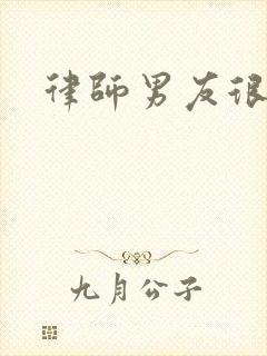 律师男友很难撩