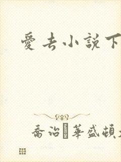 爱去小说下载网