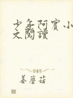 少年阿宾小说全文阅读