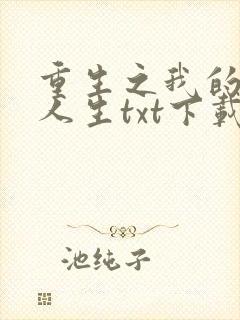 重生之我的书记人生txt下载