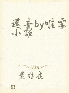 迟音by唯雾的小说