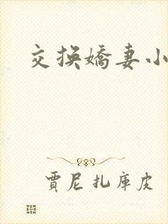 交换娇妻小说