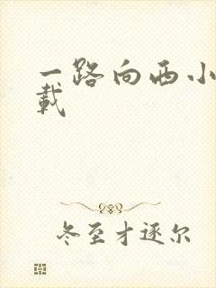 一路向西小说下载