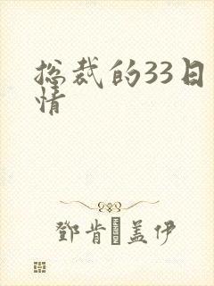 总裁的33日索情