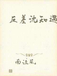 反差沈知遇晏应