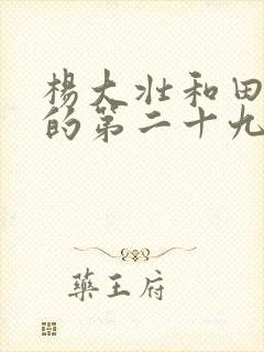 杨大壮和田桂花的第二十九