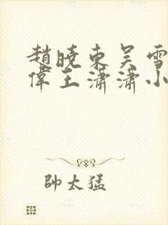 赵晓东吴雪晴郑伟王潇潇小说名字