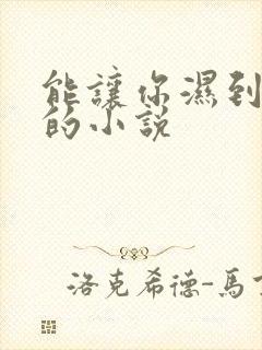 能让你湿到不行的小说