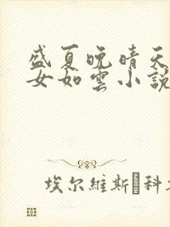 盛夏晚晴天之美女如云小说