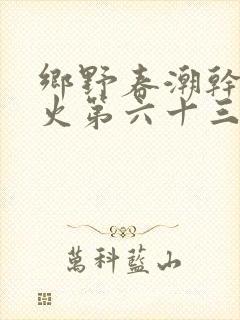 乡野春潮干柴烈火第六十三章