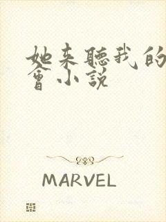 她来听我的演唱会小说