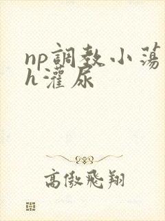 np调教小荡货h灌尿