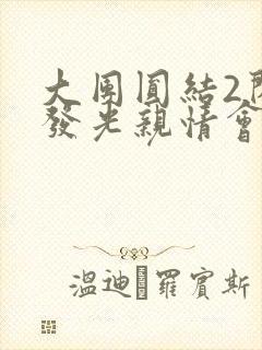 大团圆结2闪闪发光亲情会