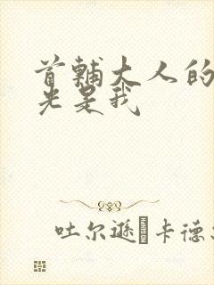 首辅大人的白月光是我