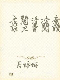 夜阑清冷意欢小说免费阅读