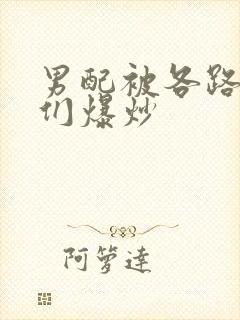 男配被各路大佬们爆炒