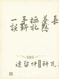 一手抚养长大小说靳北然