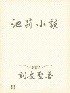 池莉小说
