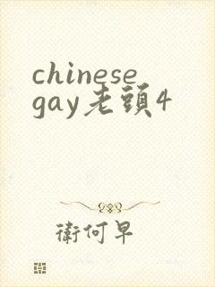 chinesegay老头4