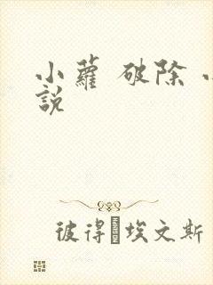 小萝 破除 小说
