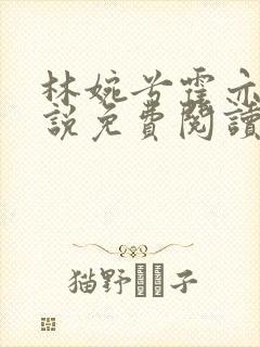 林婉兮霍亦铭小说免费阅读