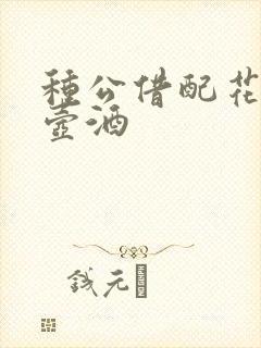 种公借配花间一壶酒