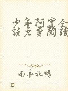 少年阿宾全文小说免费阅读笔趣阁