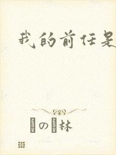 我的前任是极品