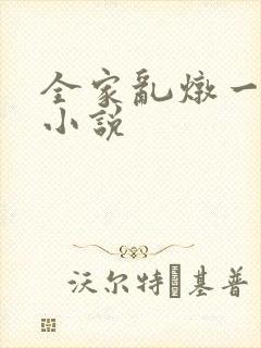 全家乱炖一锅烩小说