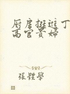 厨房挺进丁字裤高官贵妇