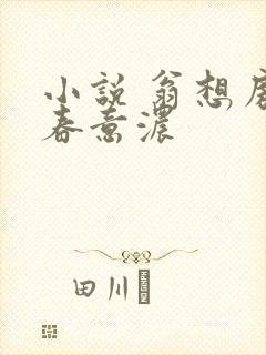 小说 翁想房中春意浓