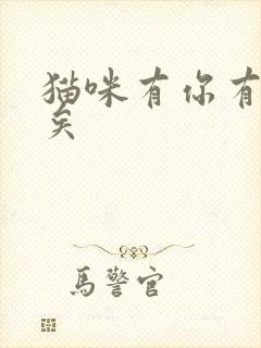 猫咪有你有我足矣